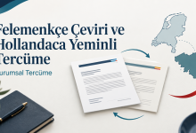 felemenkçe çeviri, hollandaca çeviri