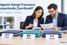 İki uzmanın Fransa, Belçika ve Kanada etiketli dosyalarla Fransızca belge çevirisini değerlendirdiği temsili ofis sahnesi