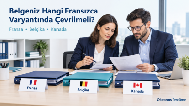 İki uzmanın Fransa, Belçika ve Kanada etiketli dosyalarla Fransızca belge çevirisini değerlendirdiği temsili ofis sahnesi